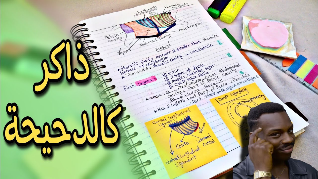 كيف ألخص دروسي|أفضل طريقة لتلخيص الدروس