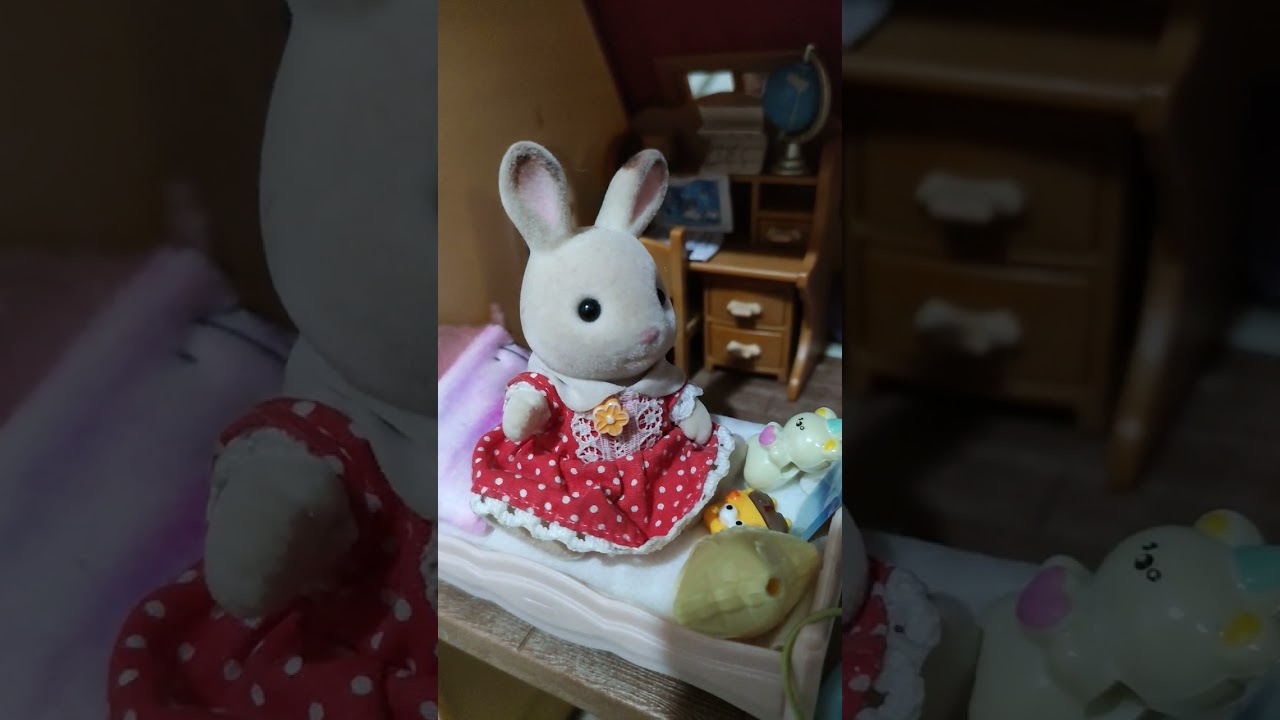 Sylvanian drama part 1 