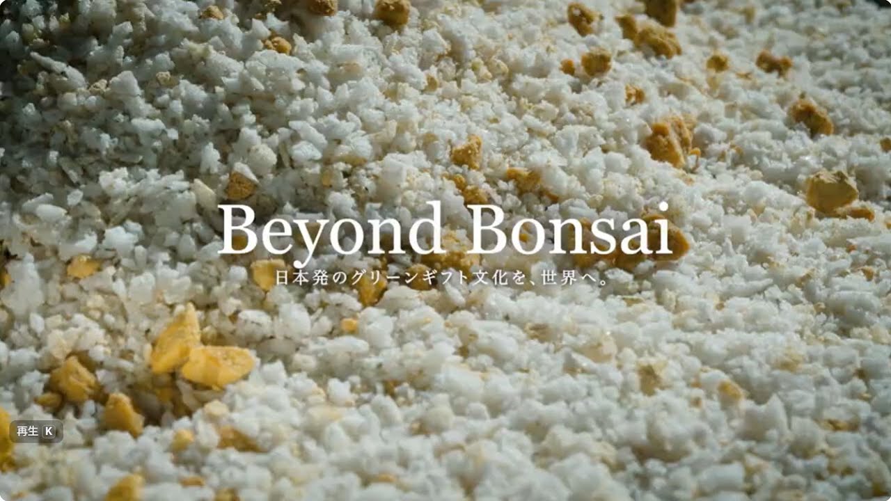 Beyond Bonsai