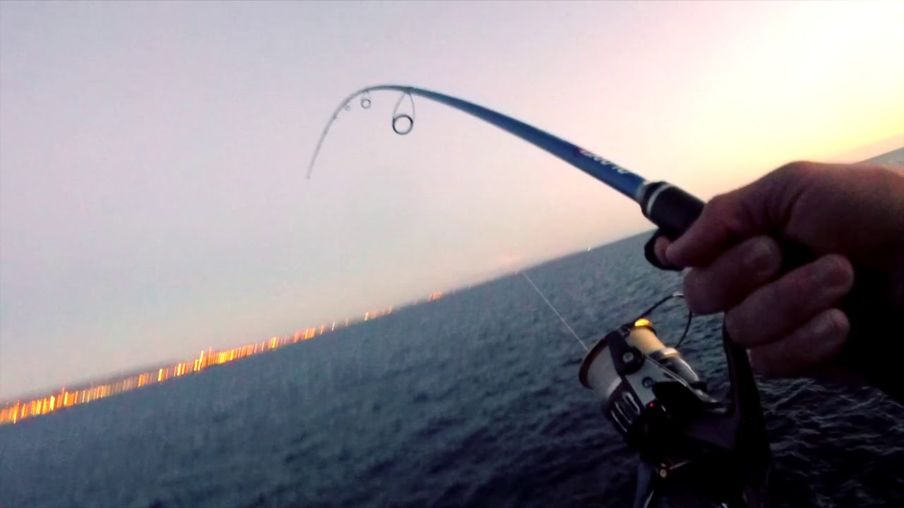Palamita a shore jig