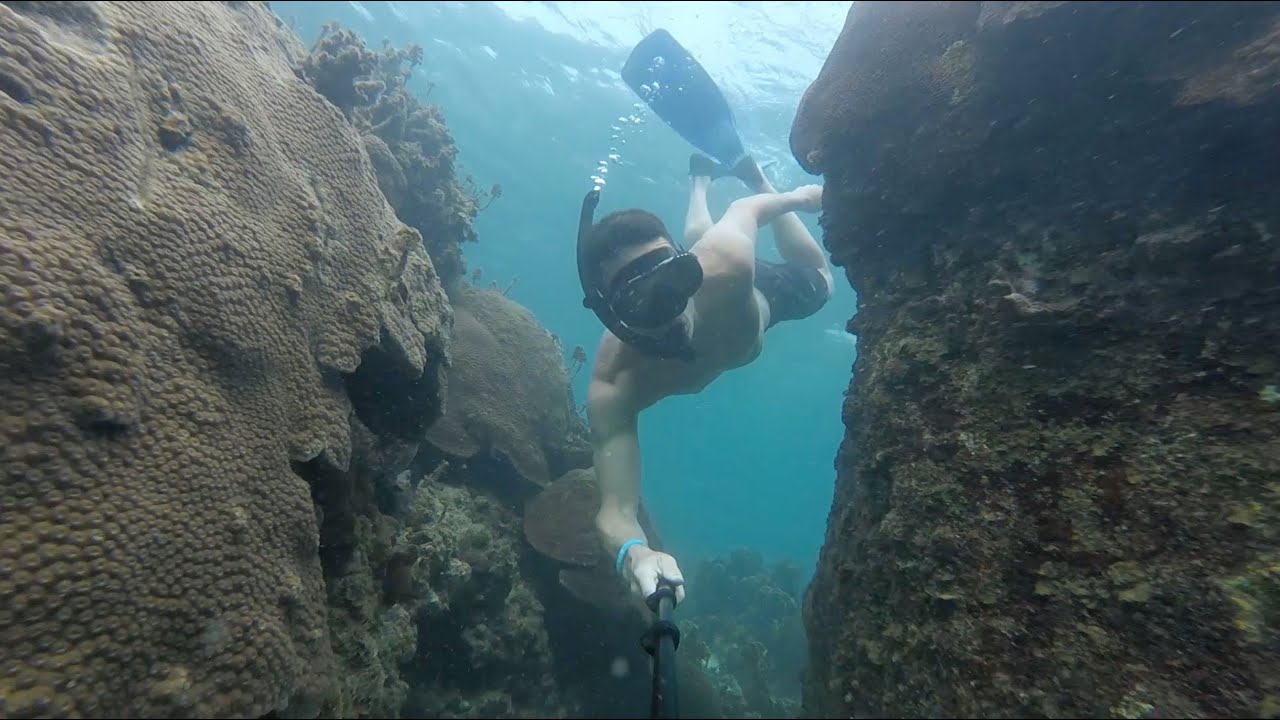Kayaking + Snorkeling | Koh Tao, Thailand
