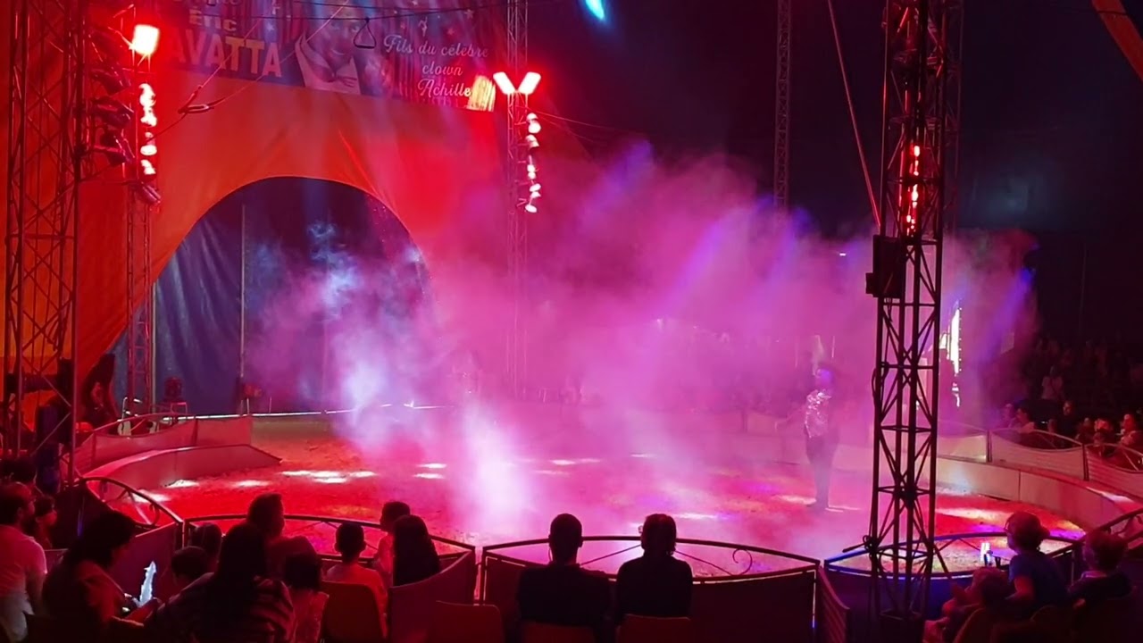 cirque 2024