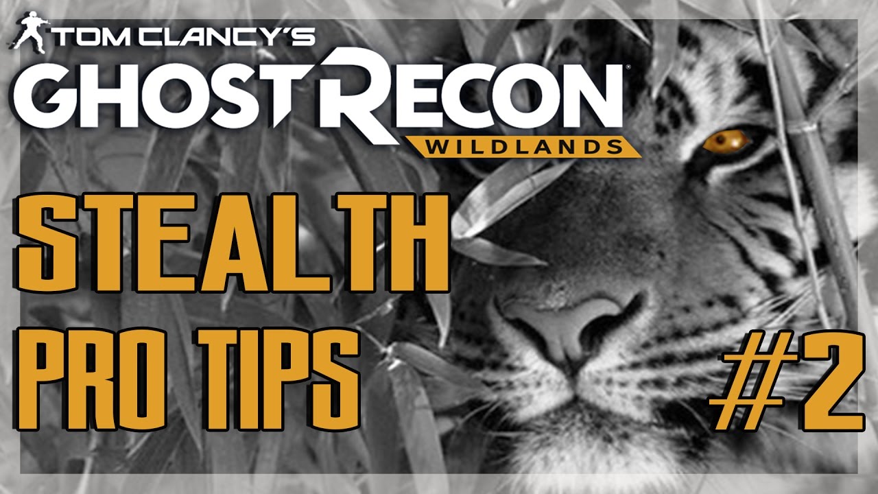 Where to go??!! - Stealth Pro Tips #2 - Ghost Recon Wildlands