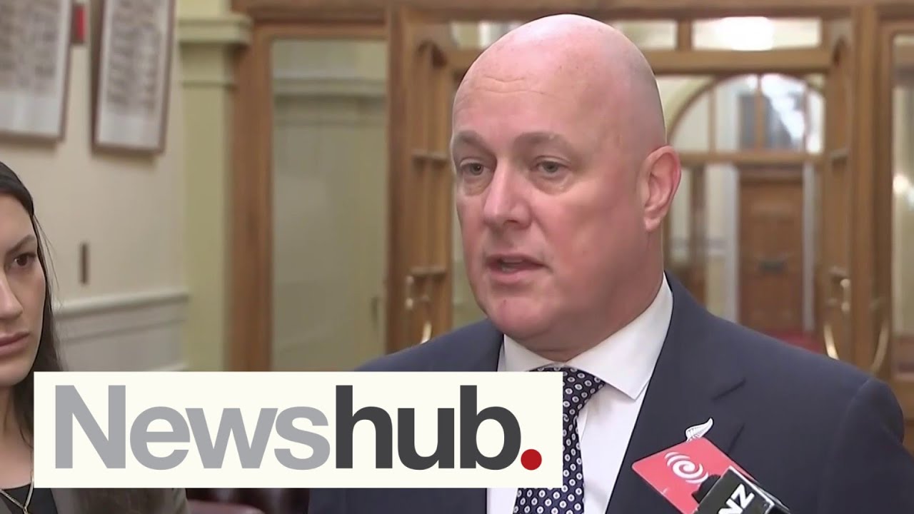 NZ to reconsider funding to organisation giving aid in Gaza after October 7 allegations  | Newshub