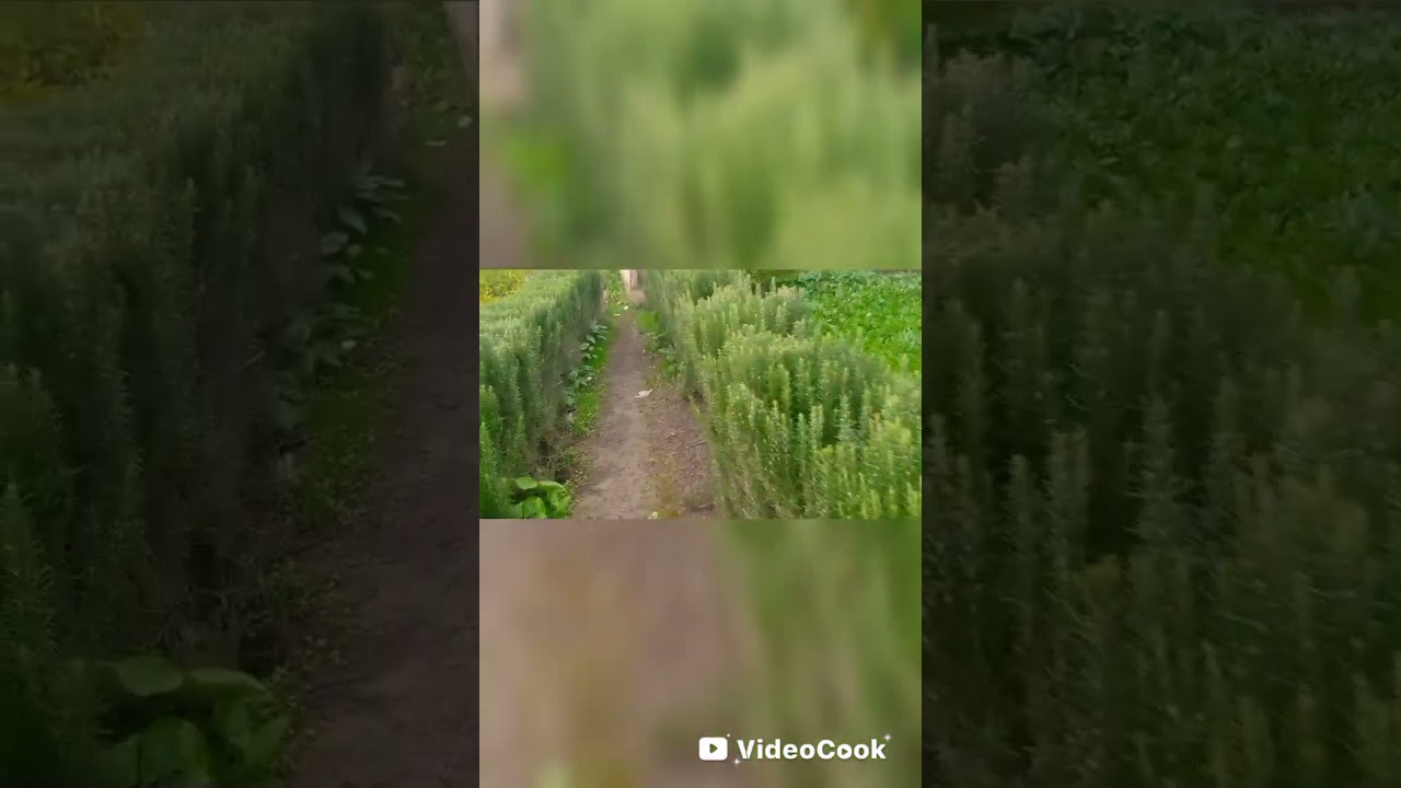 امطار الخير منطقة تاونات