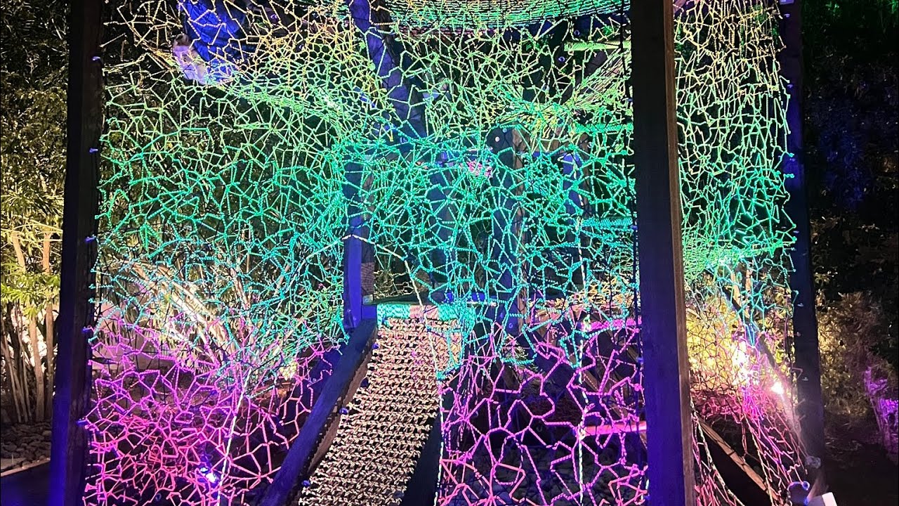TreeNet Willy&rsquo;s: Tesseract Cube Playground