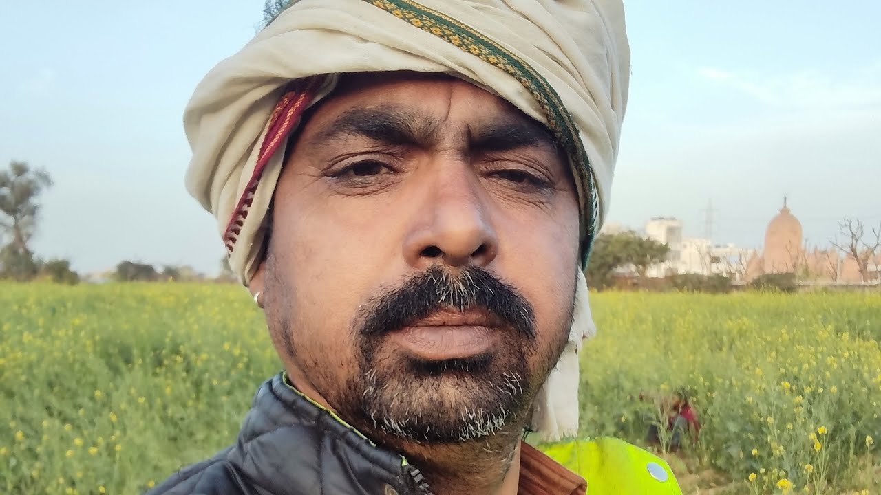 सरसों की खेती से केसे करोड़पति बना दस बिगा खेत में सरसों में 🫠