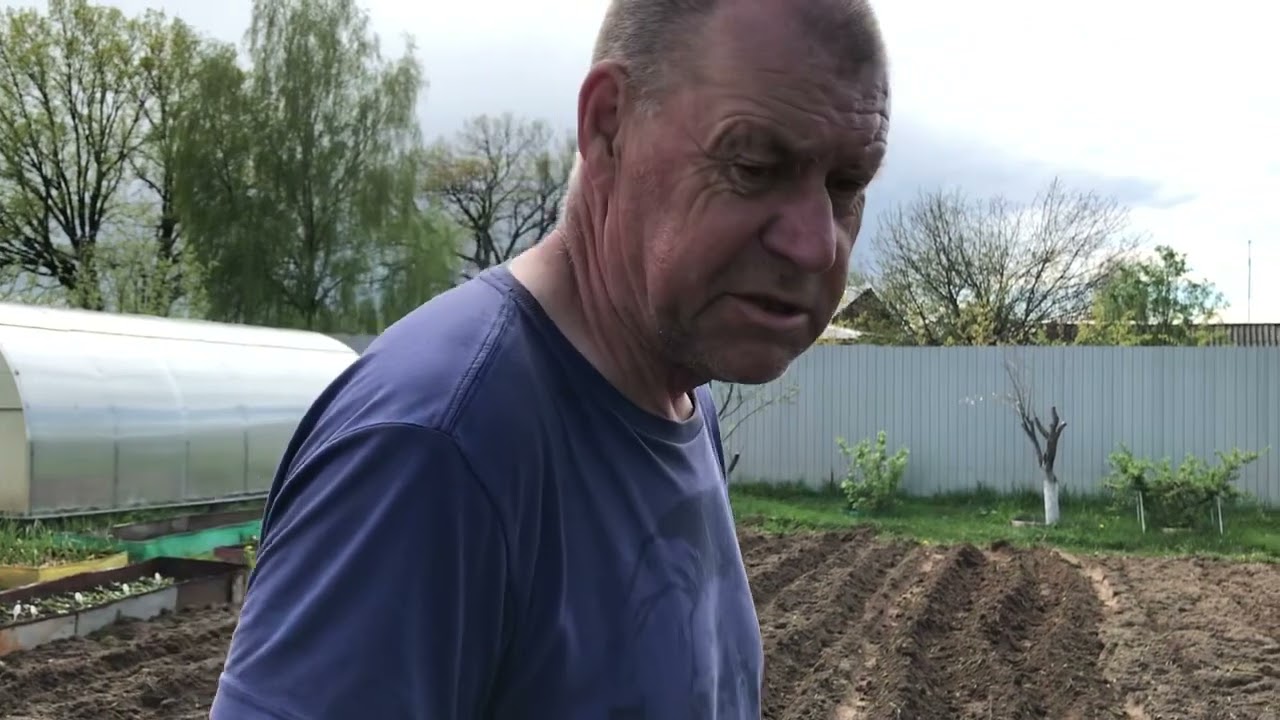 Посадка картофеля мотоблоком и легким культиватором . Сравнение .