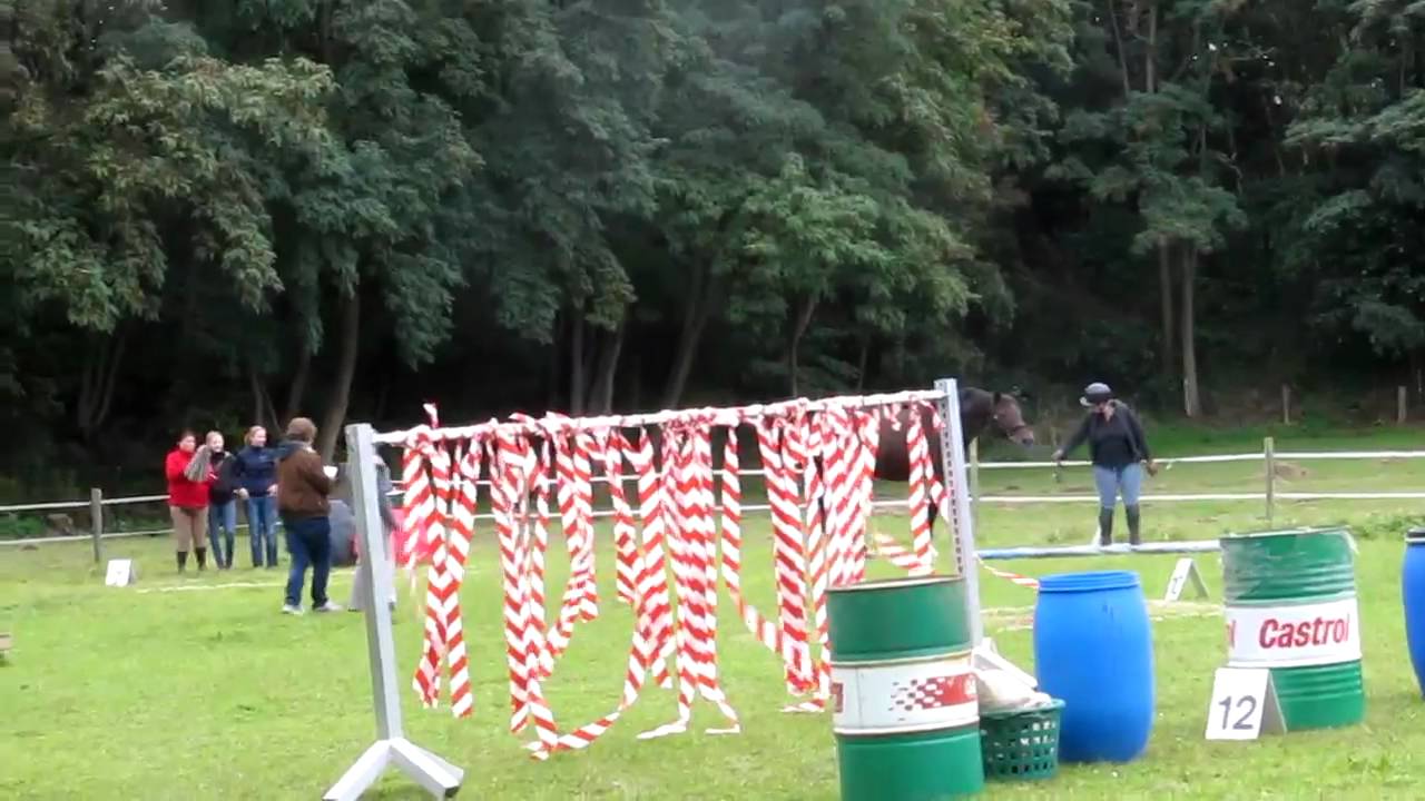Gelassenheitsprüfung