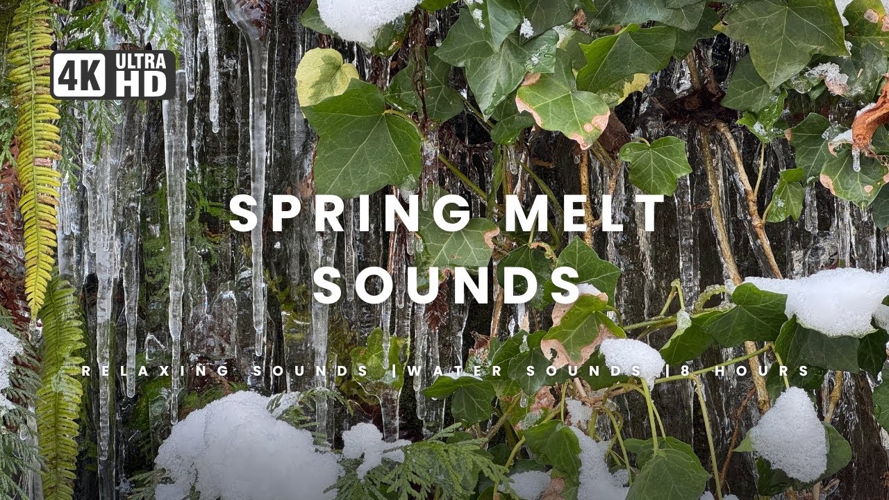 Soothing Spring Sounds | Melting Icicles and Running Water | 8 Hours | Relaxing Nature Sounds
