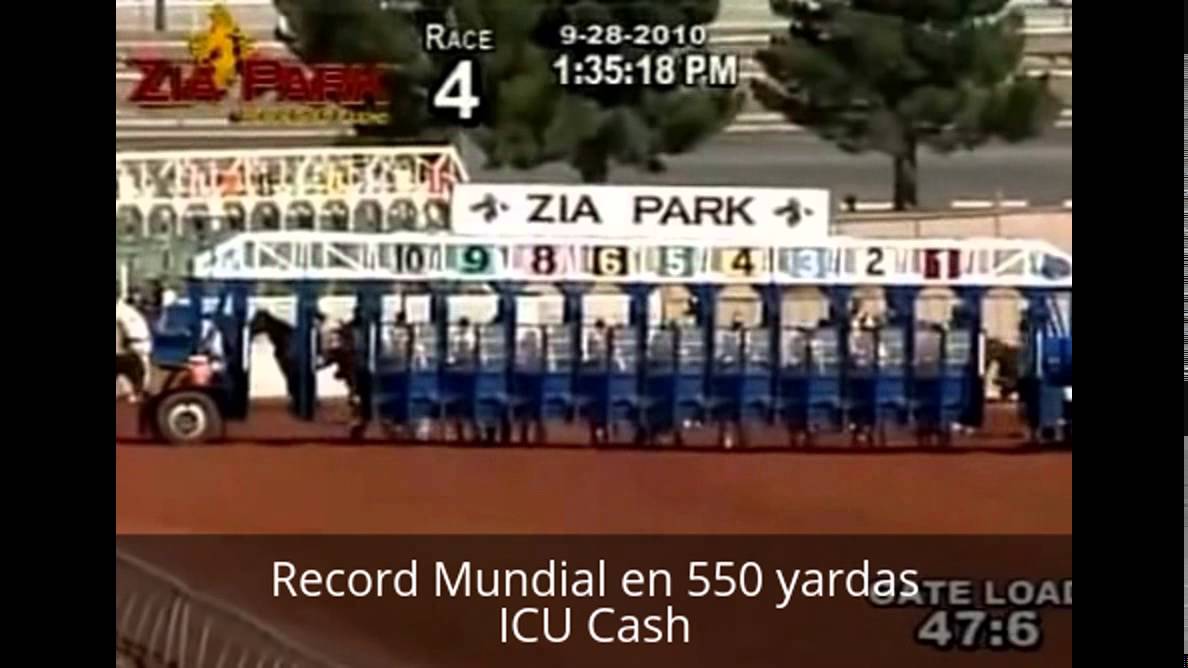 Todos los Records Mundiales de Caballos Cuarto de Milla