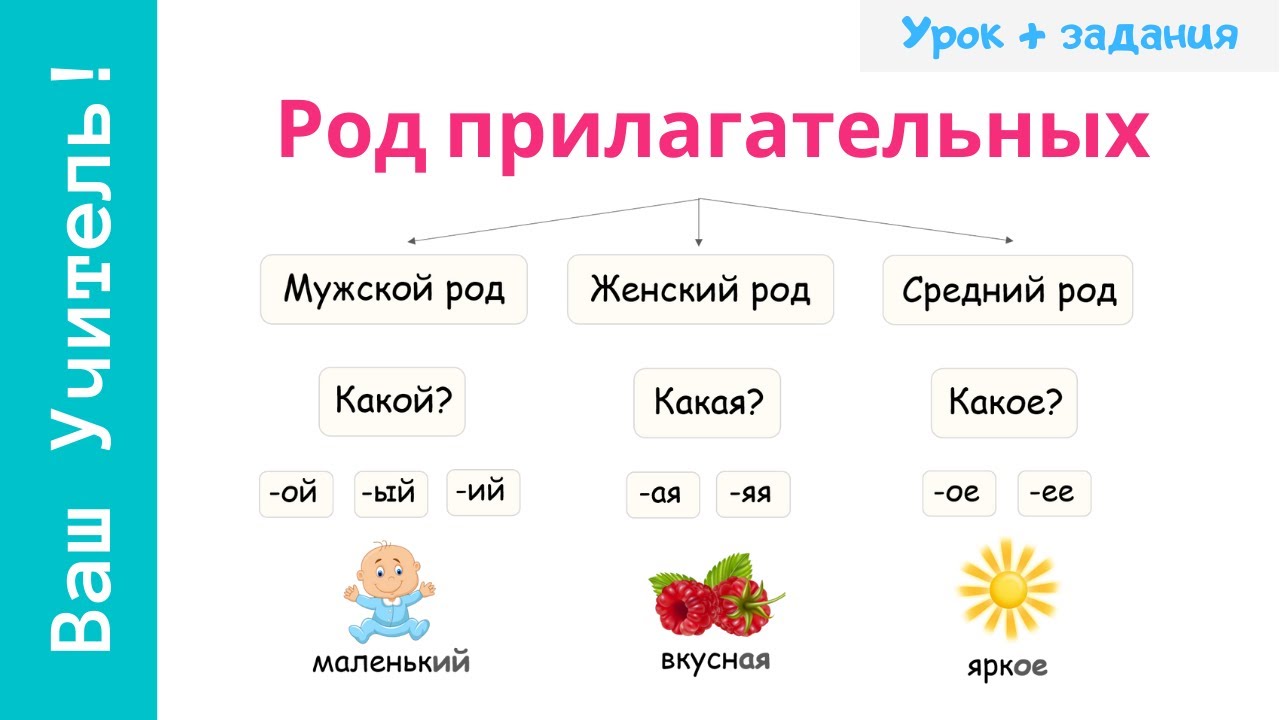 Род имен прилагательных. Как определить род прилагательного?