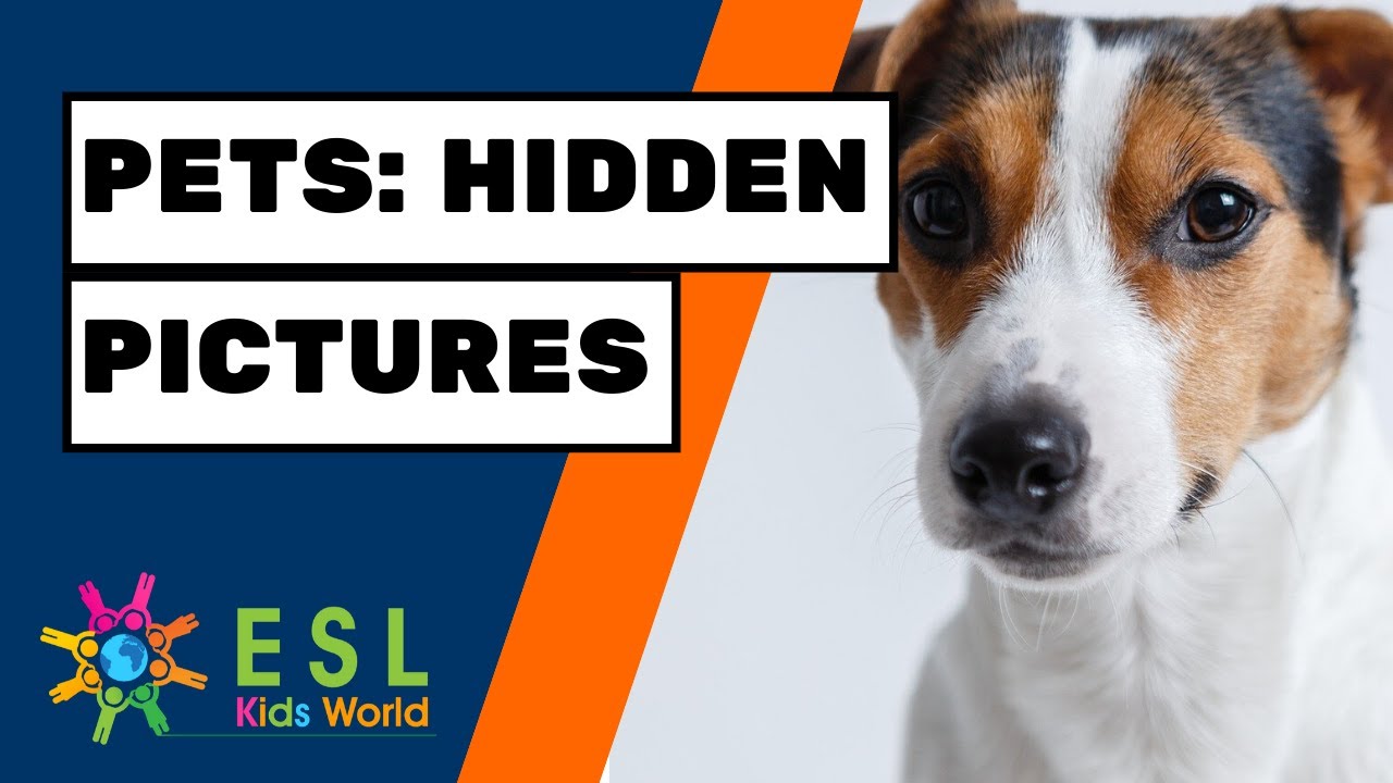 🐈Pets Hidden Pictures | Find Animals with this Fun Game