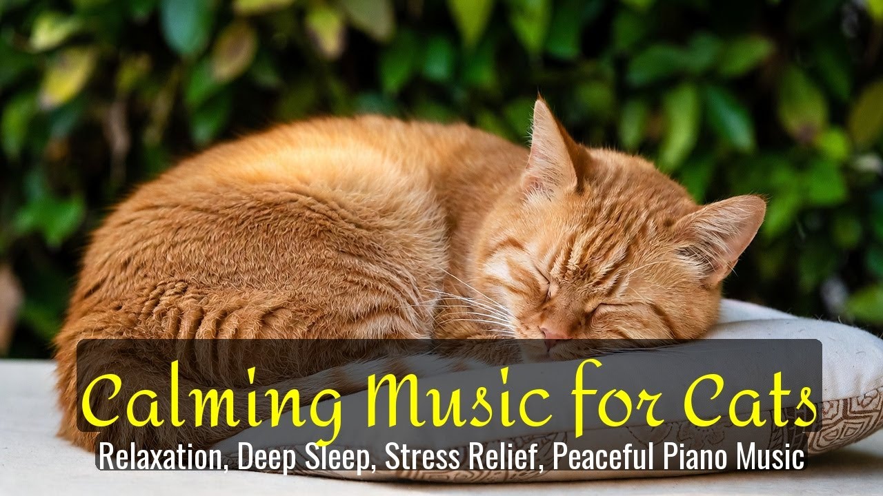 Calming Music for Cats - Relaxation, Deep Sleep, Stress Relief, Peaceful Piano Music | Season 69