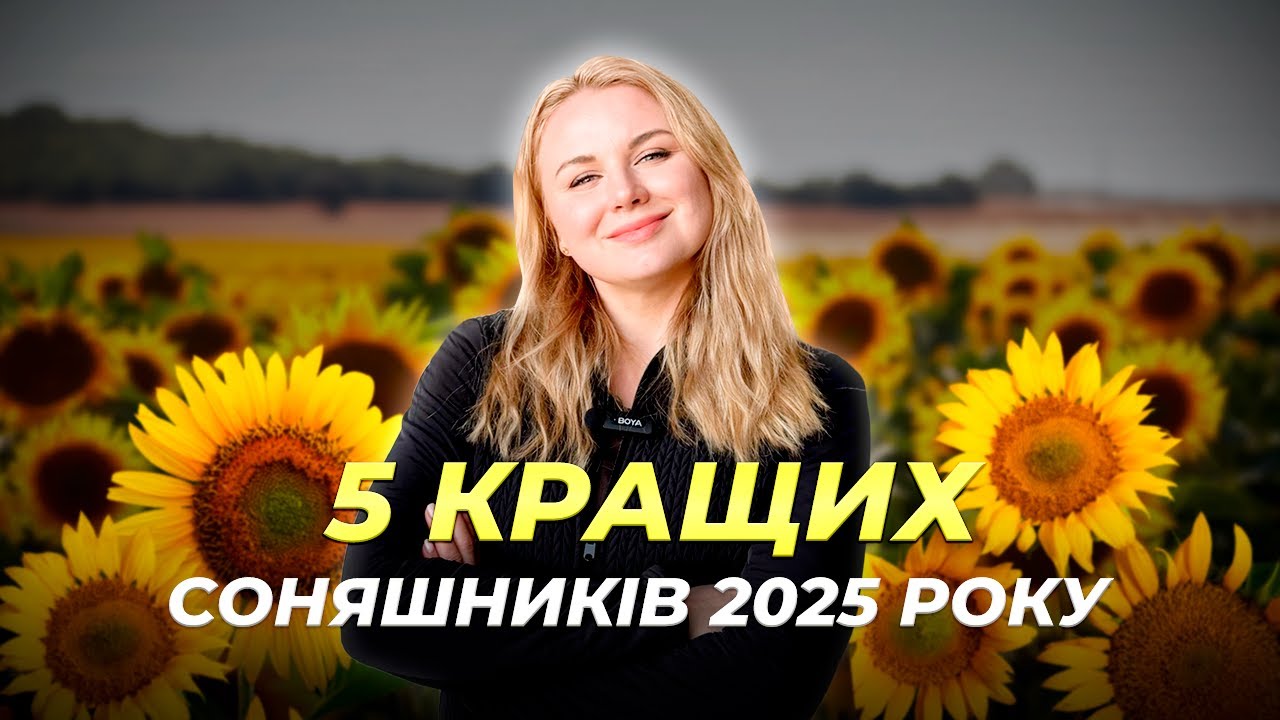 ЯКИЙ СОНЯШНИК ПОСІЯТИ? ТОП 5 ГІБРИДІВ НА 2025 РІК 🌻