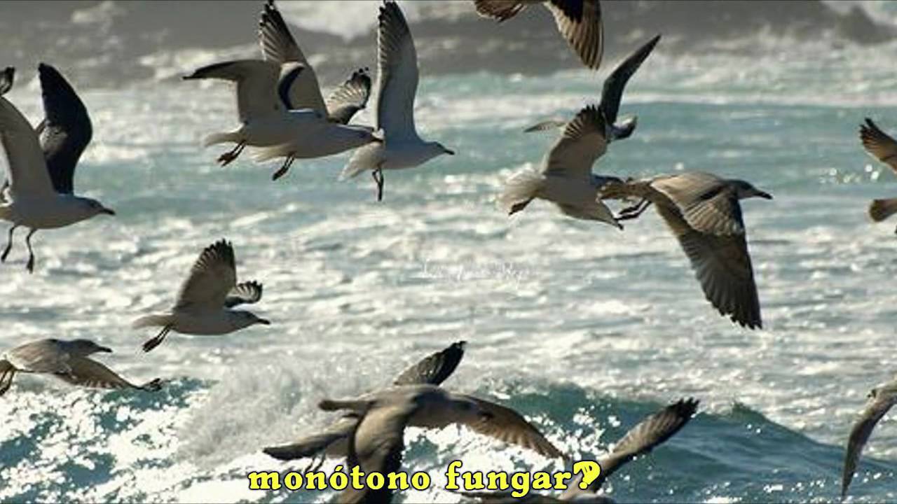 Himno de Galicia (Subtitulado)