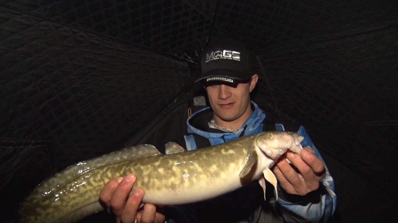 Discovering - Night fishing for Burbot, UnderIce Bait Bag