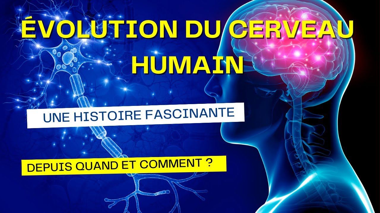 LA FASCINANTE HISTOIRE DE L'ÉVOLUTION DU CERVEAU HUMAIN DEPUIS QUAND ET COMMENT ?