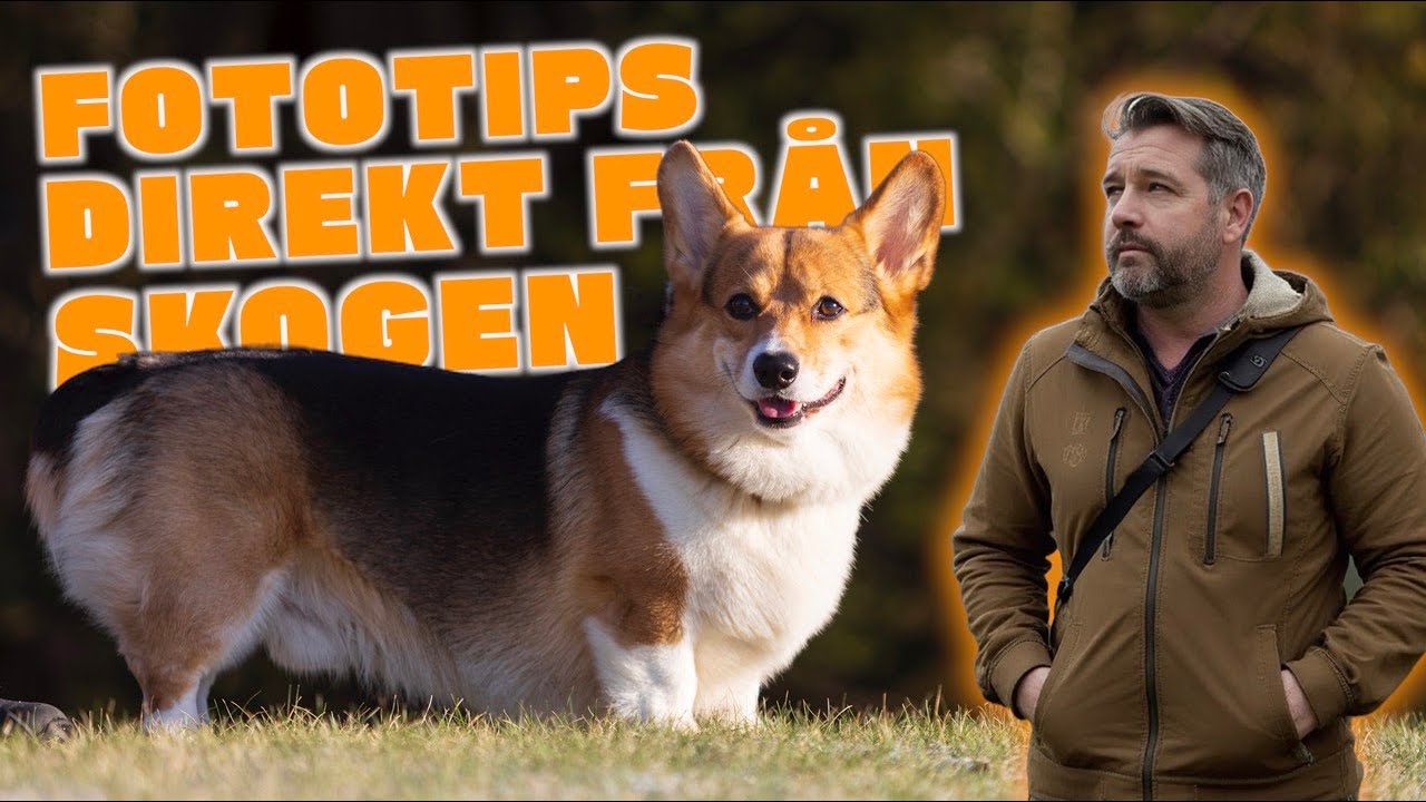 Fototips i PRAKTIKEN - Fotovlog från Rådasjöns Naturreservat