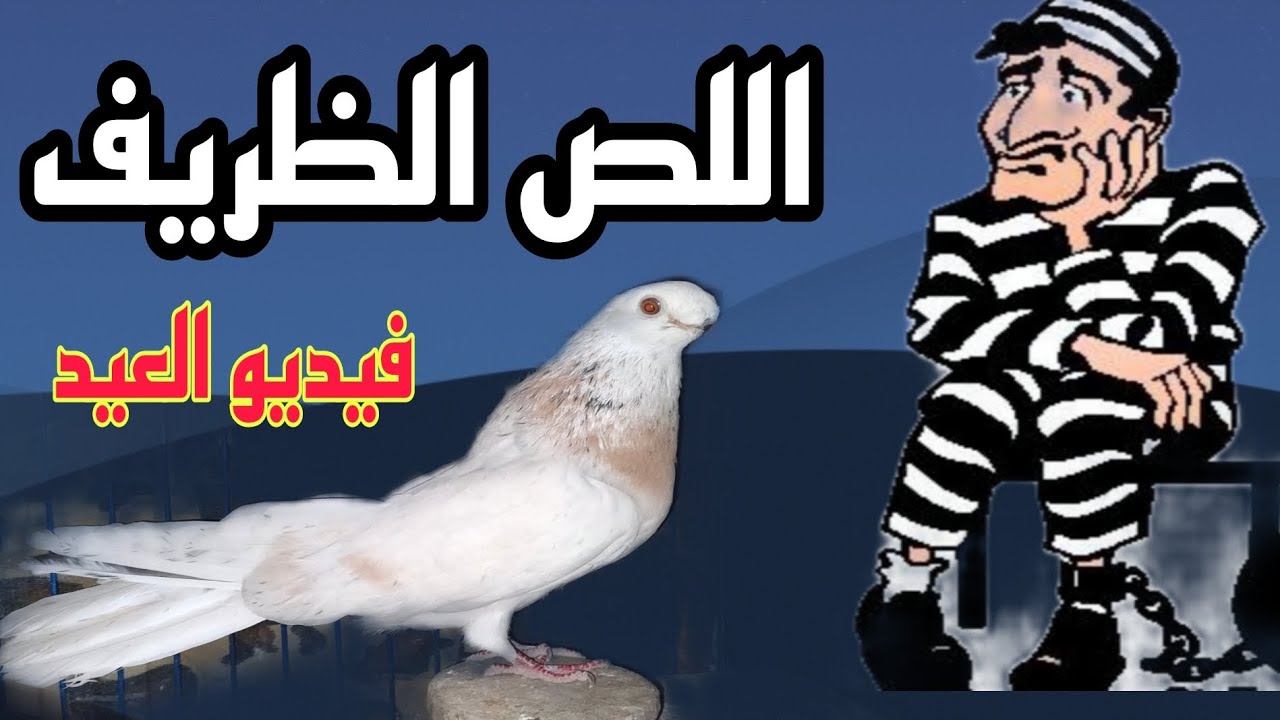 🔴العهدة علي الراوى (التركيبات إيجابيات و سالبيات)#الحمام_الغزار