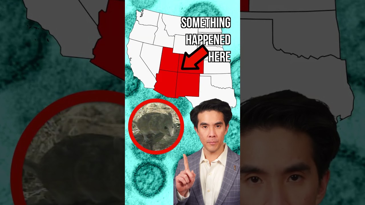 Insane Hantavirus Discovery 💡
