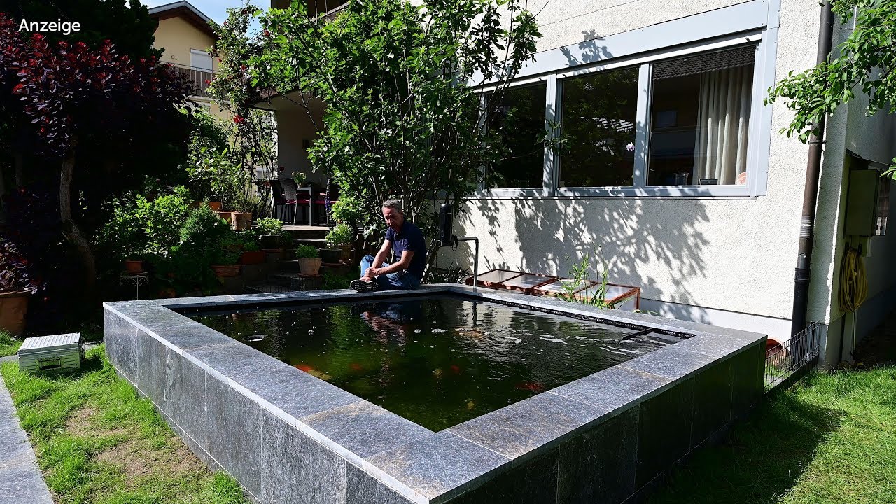 Modern Koi Blog #3868 - Laura und Philipps 40 Jahre Alter 7400 Liter Teich