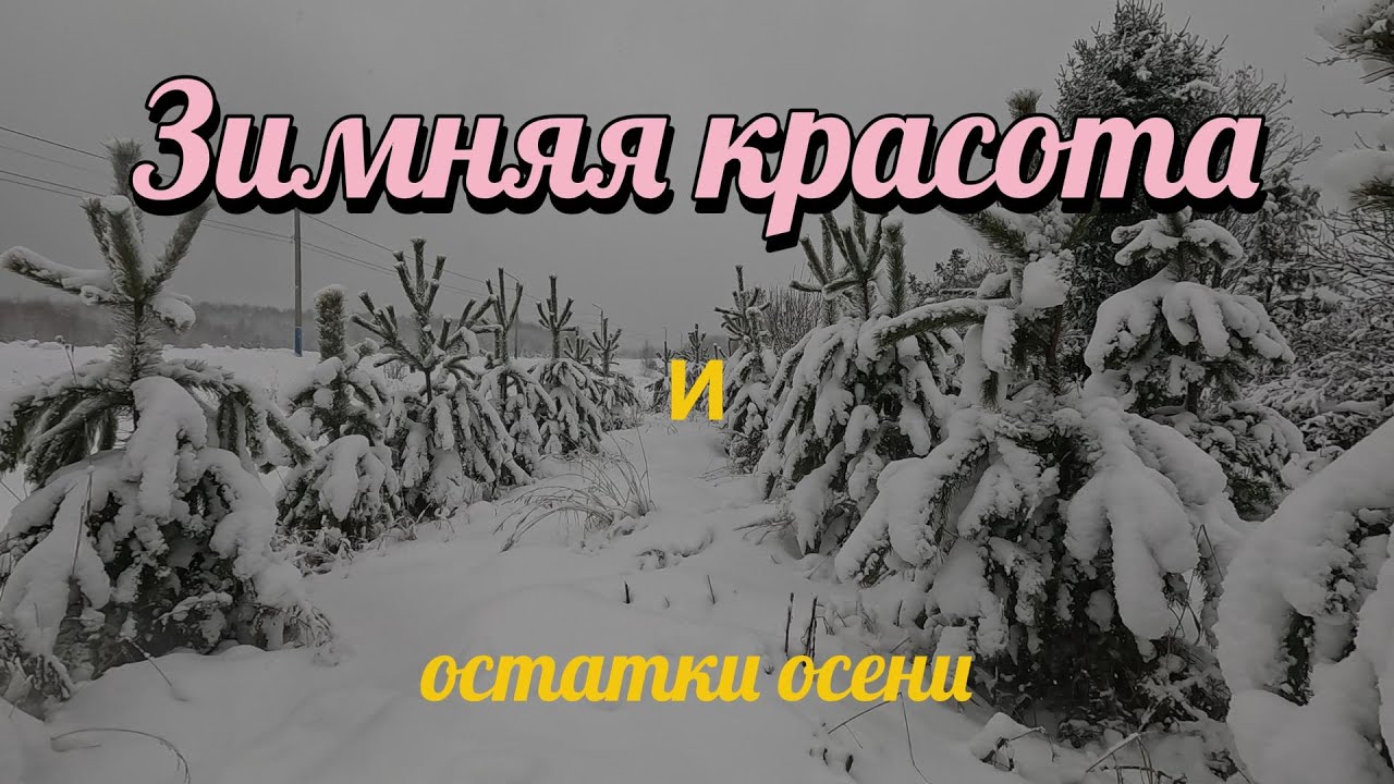 К нам пришла зима.