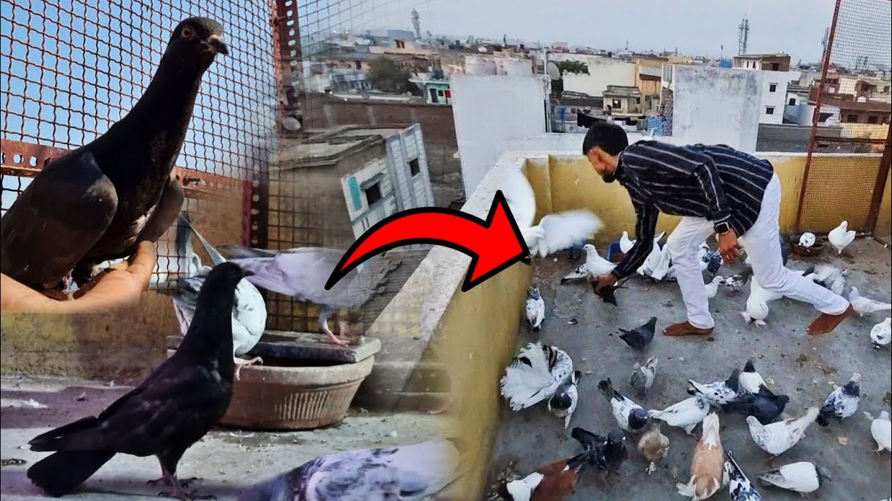 Ye To Kalu Jessa He 😍