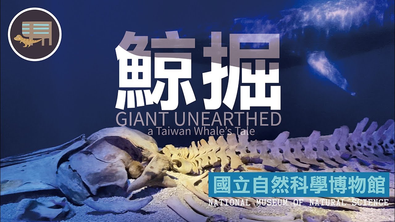 【Nicko】RARE Fossil 鯨掘特展 in 國立自然科學博物館 臺灣屏東恆春 Giant Unearthed a Taiwan Whale's Tale