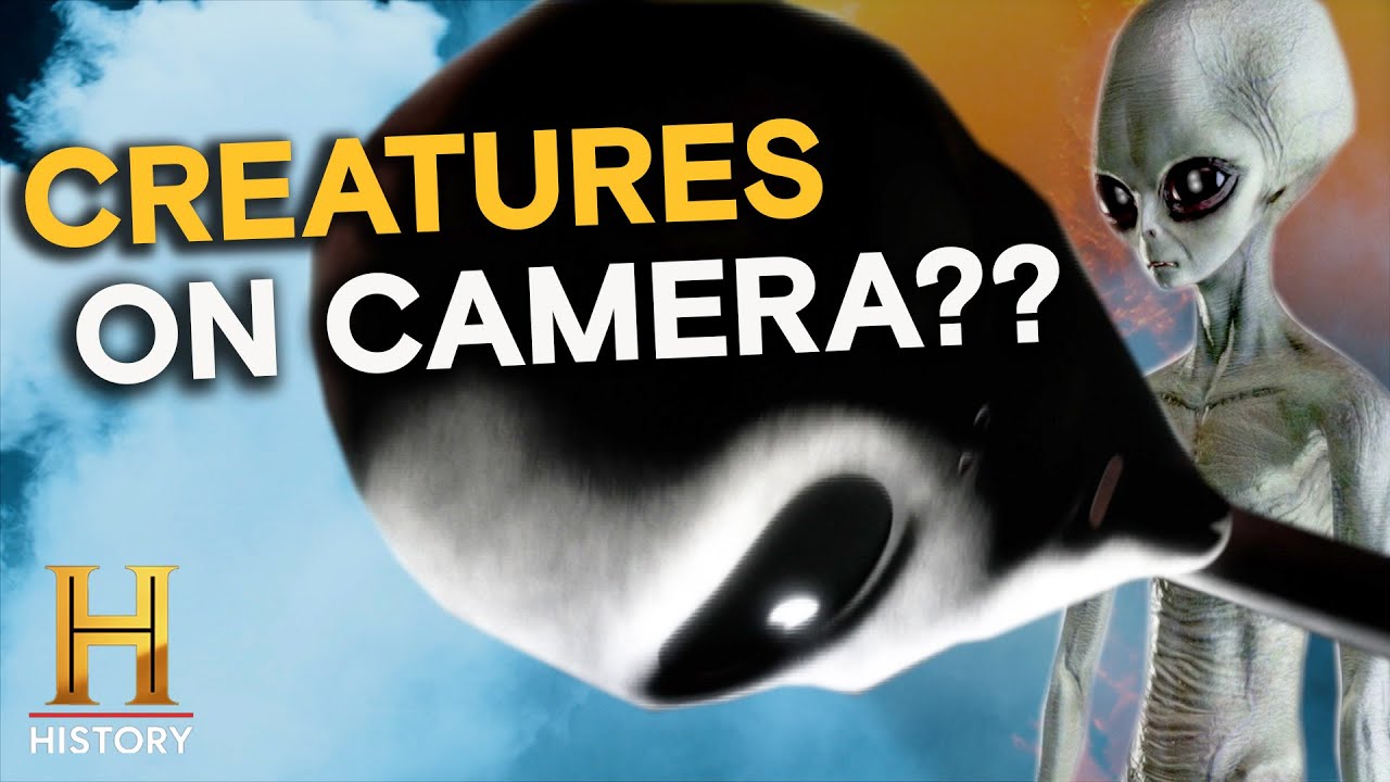 They Saw the Unseen—And Caught It on Camera | The Proof Is Out There | History