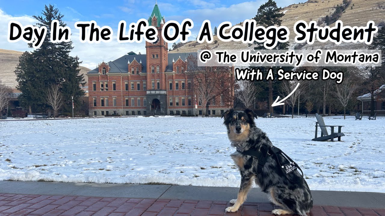 Day In The Life As A College Student With A Service Dog @ the University of Montana