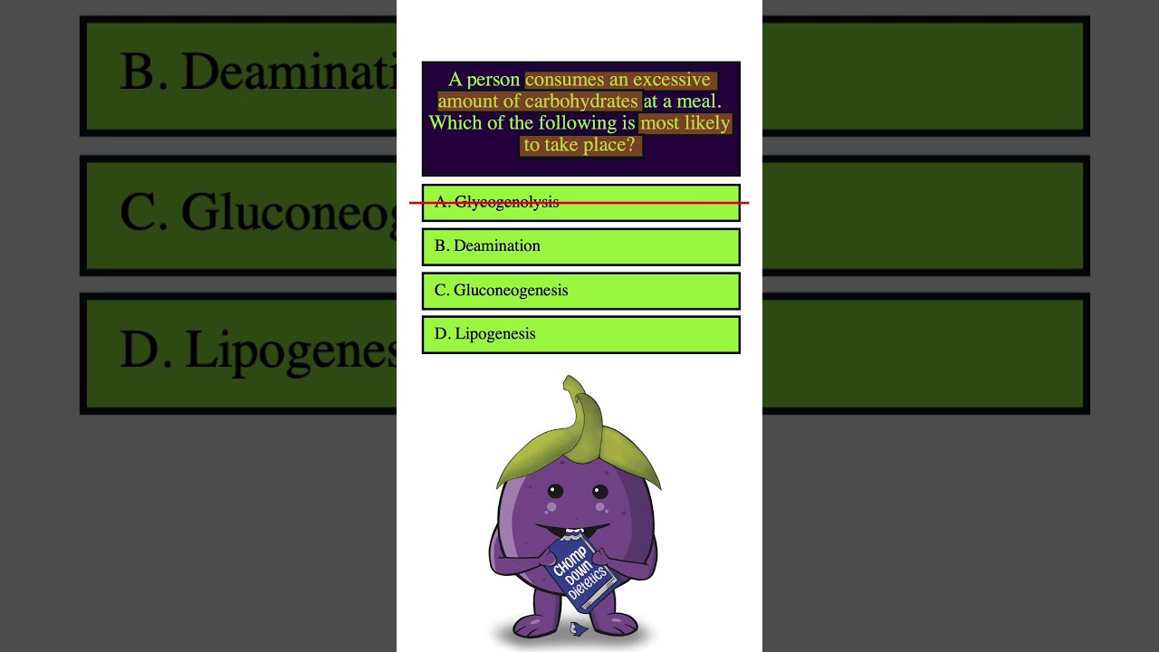 Вопрос №1 для подготовки к экзамену на диетолога от Chomp Down Dietetics