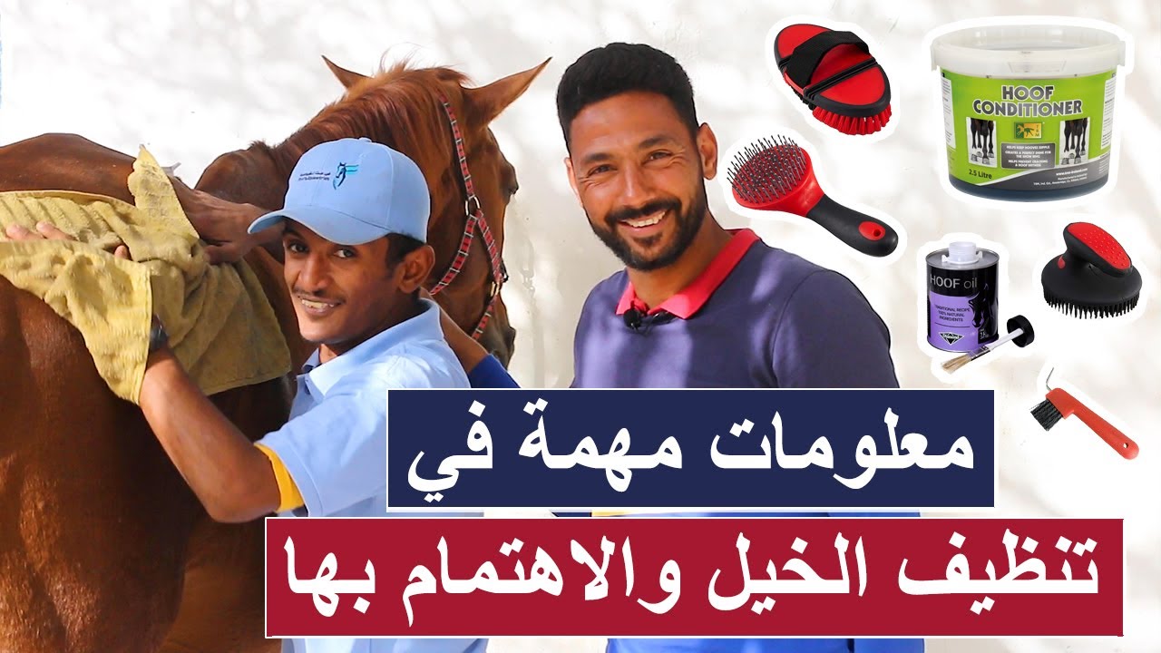 معلومات مهمة في تنظيف الخيل والاهتمام بها ( مترجمة عربي ) - ترويش الخيل