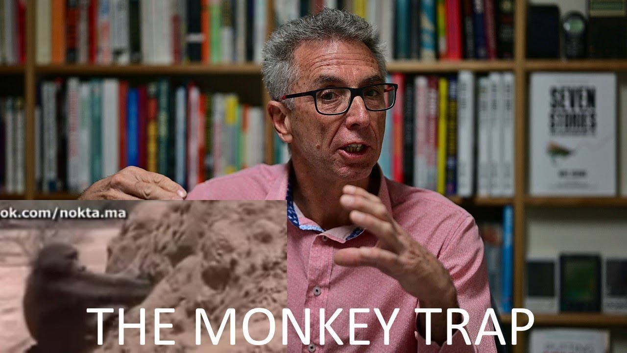 THE MONKEY TRAP