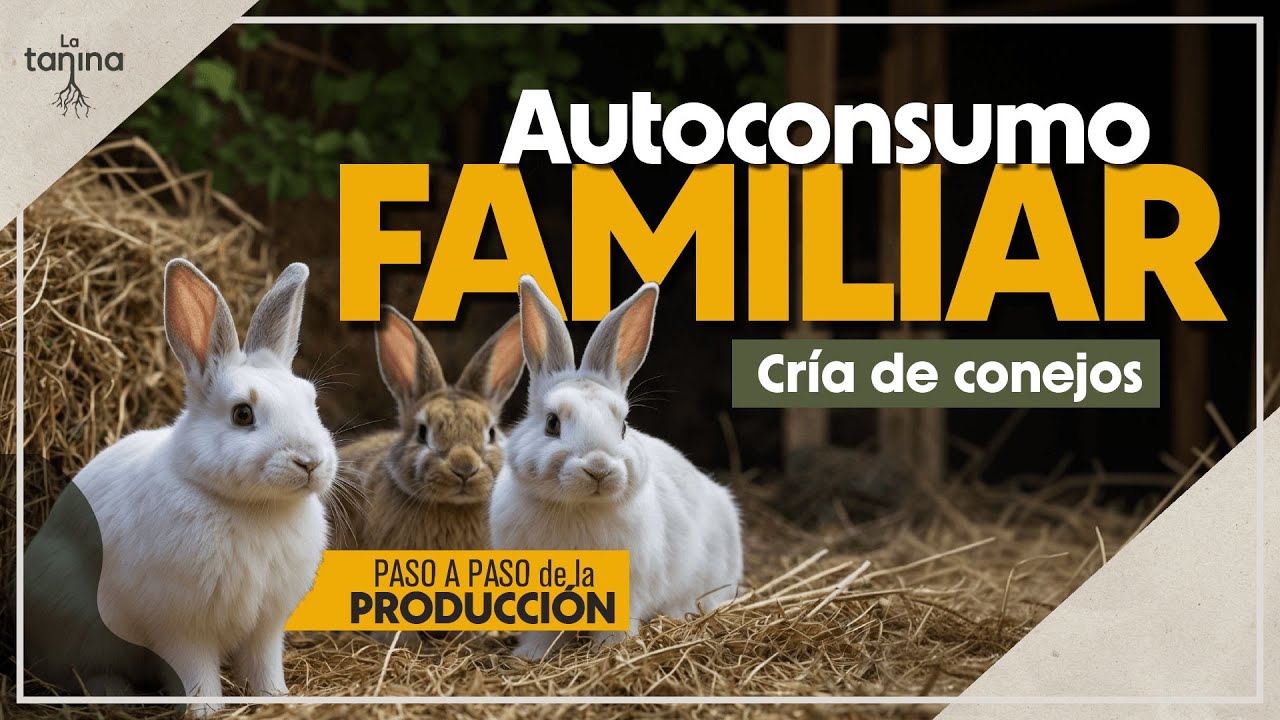 AUTOSUFICIENCIA: Cría conejos y alimenta a tu familia fácilmente🐰