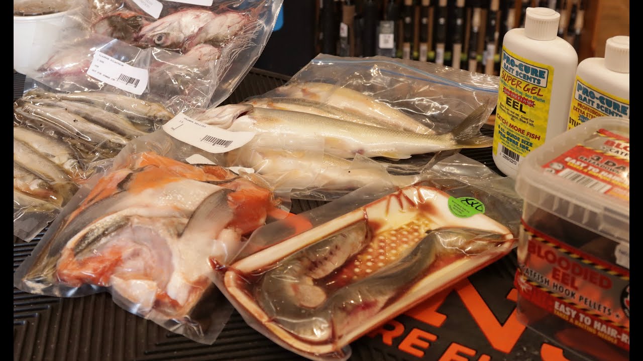 Recommended bait for Fraser River white sturgeon