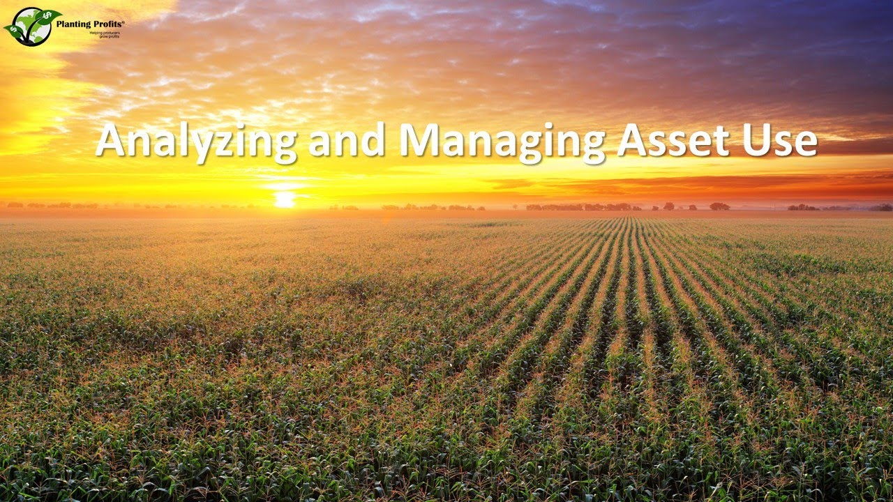 Analyzing and Managing Asset Use