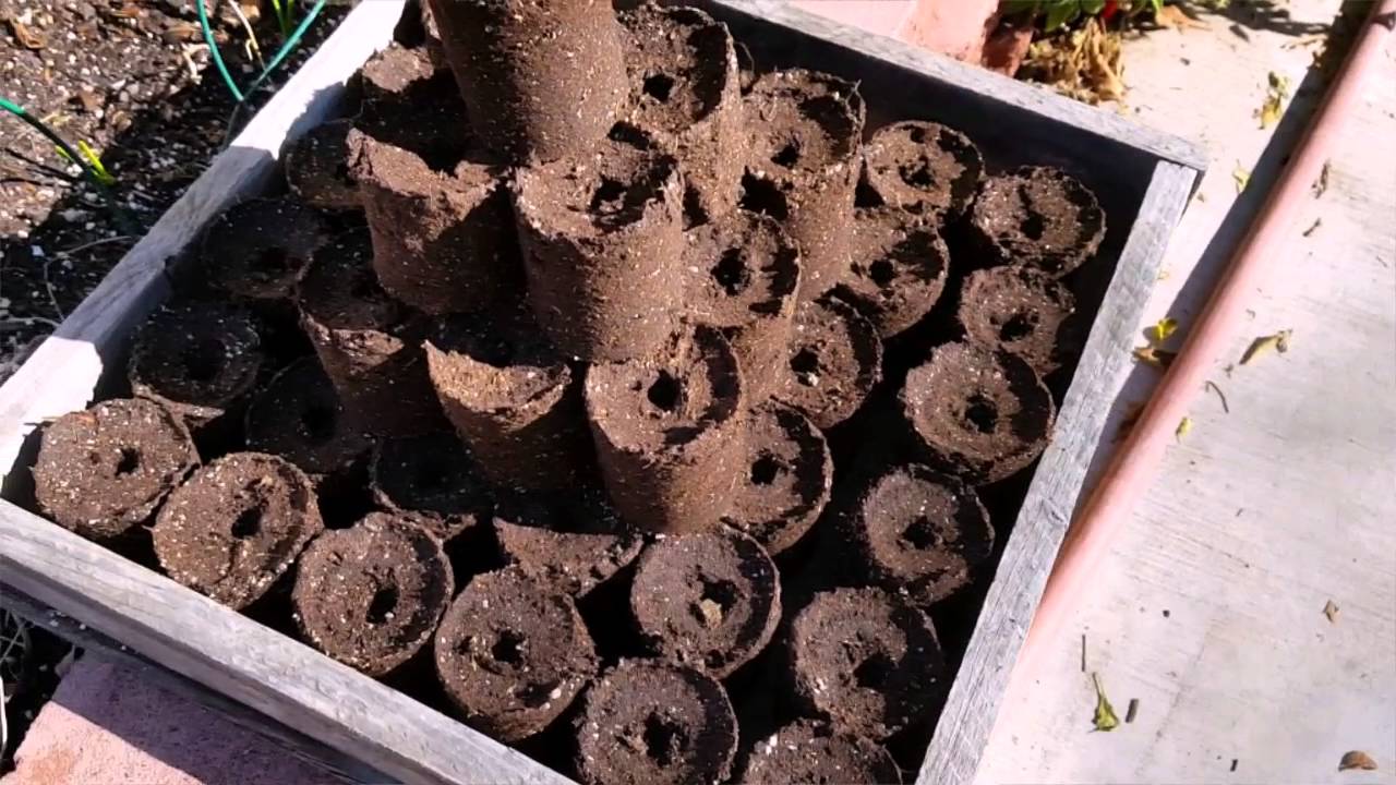 Soil Blocks - Inexpensive homemade soil blocks