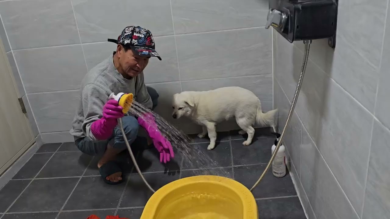 4빵 5빵 목욕 2부
