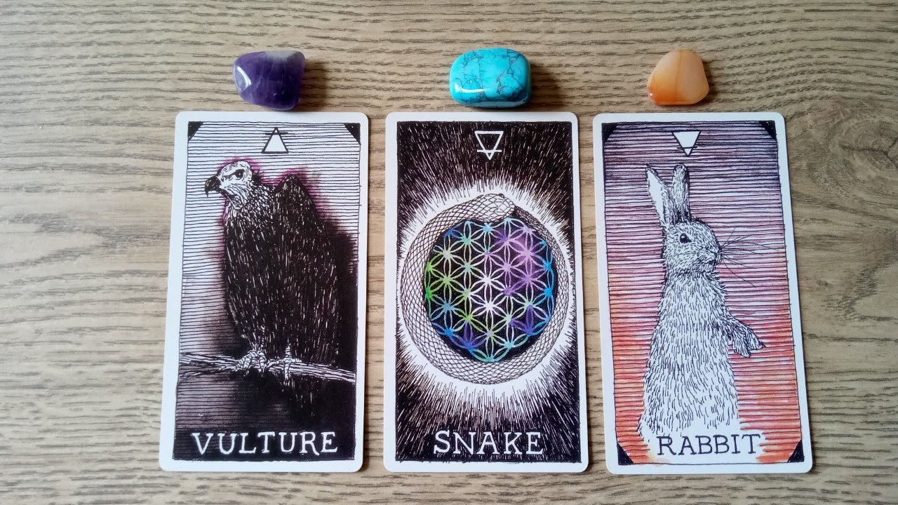 🎀❤️HOW ARE THEY THINKING AND FEELING ABOUT YOU TODAY? 🎀❤️PICK A CARD LOVE TAROT✨✨
