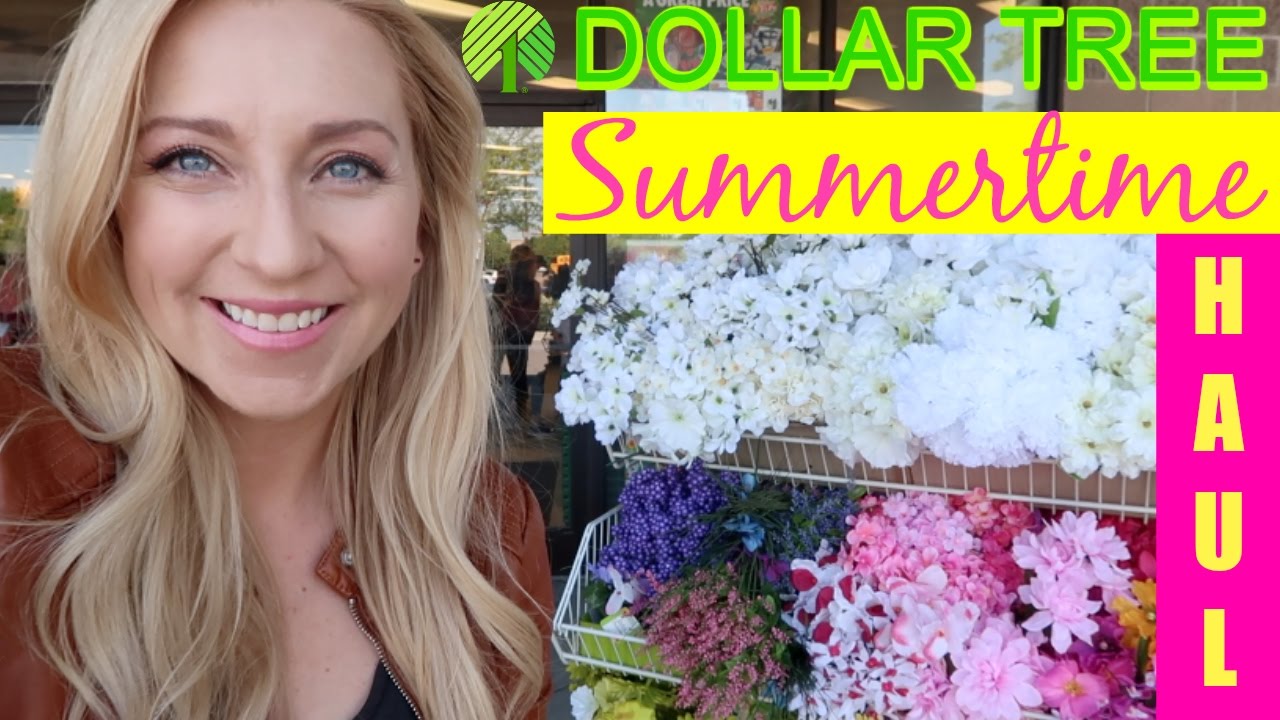 $1 Dollar Tree Shopping Vlog! | SUMMER HAUL