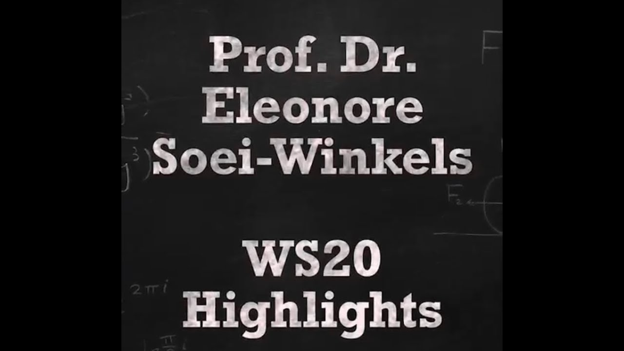 Best of Prof. Dr. Eleonore Soei-Winkels #Instagram stories, #WS20 (second #CoronaSemester)