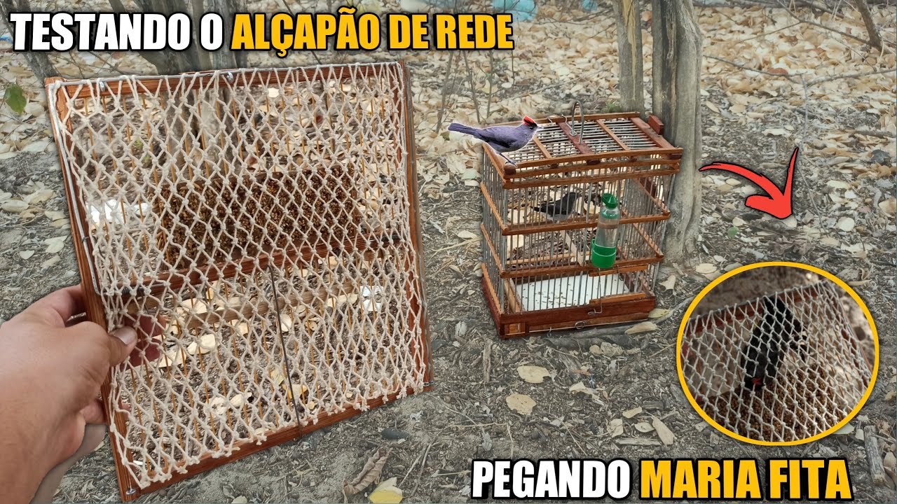 🌵 FUI TESTAR O ALÇAPÃO DE REDE !  *Aprovado*