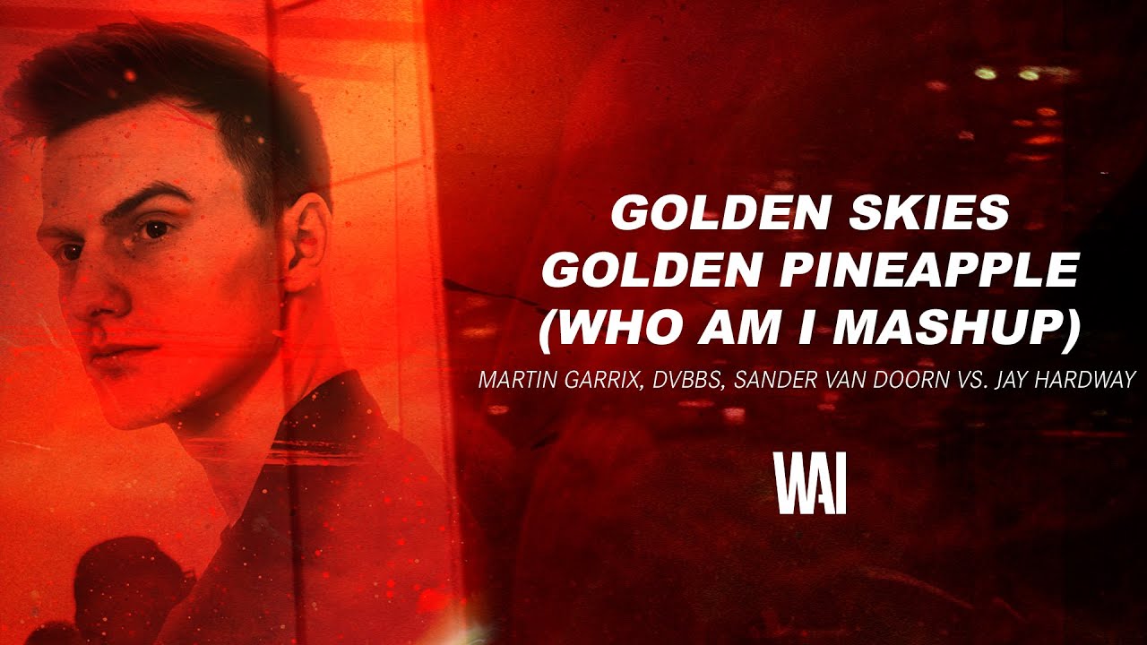 Martin Garrix, DVBBS vs. Jay Hardway - Golden Skies vs. Golden Pineapple (WHO AM I Mashup)