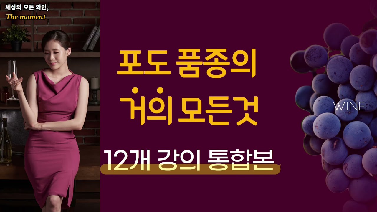 와인 포도 품종의 거의 모든것 (12개 강의 통합본)