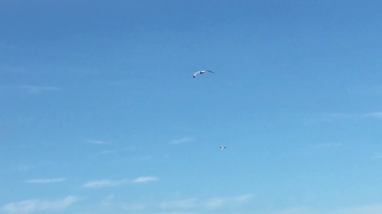 Torbay Airshow 2018 (Saturday 2nd June)