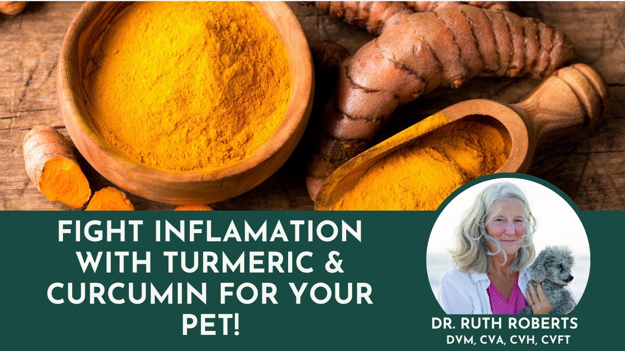 Fight Inflamation with Turmeric & curcumin for your Pet!