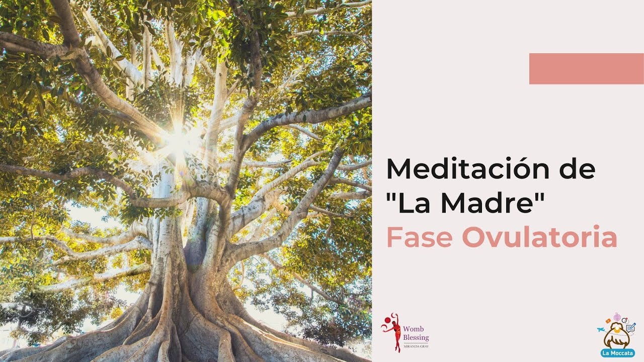 Meditaci&oacute;n Fase Ovulatoria 