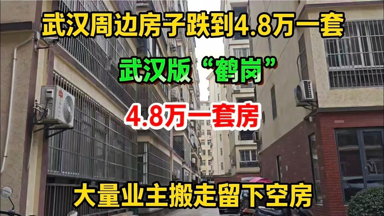 武汉周边房子跌到4.8万一套，大量业主搬走留下空房，降价甩卖依旧无人问津，太难了