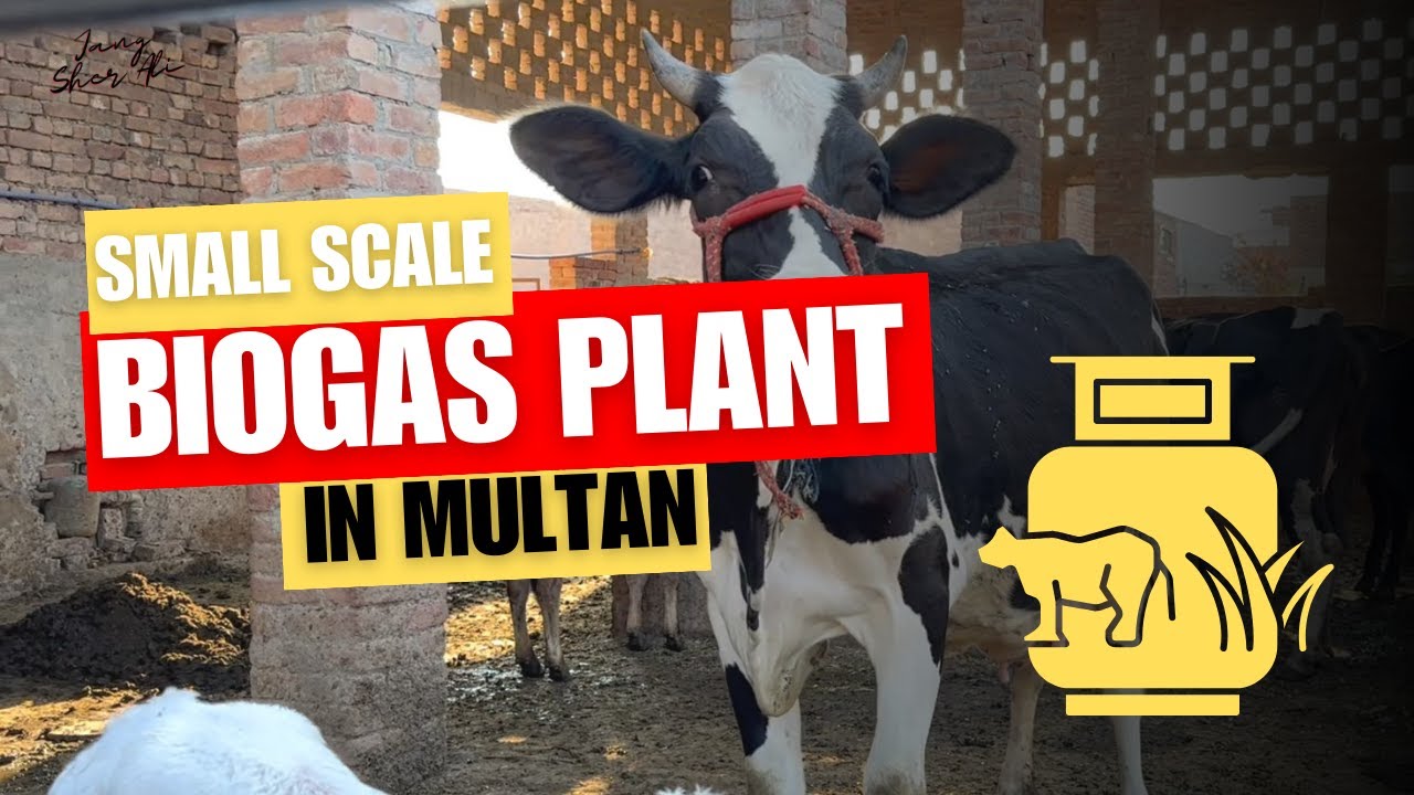 Biogas Plant in Multan | Small Scale DIY